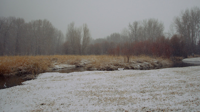 Snow_covered_field.jpg