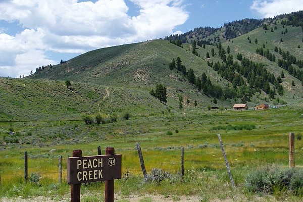 Peach Creek Preserve